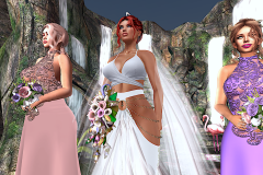 Bride-and-her-maids_004a