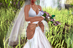 Bride-and-her-maids_009a