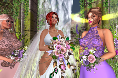 Bride-and-her-maids_010a