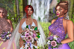 Bride-and-her-maids_012a