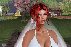 Bride-and-her-maids_018a