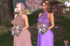 Bride-and-her-maids_022a